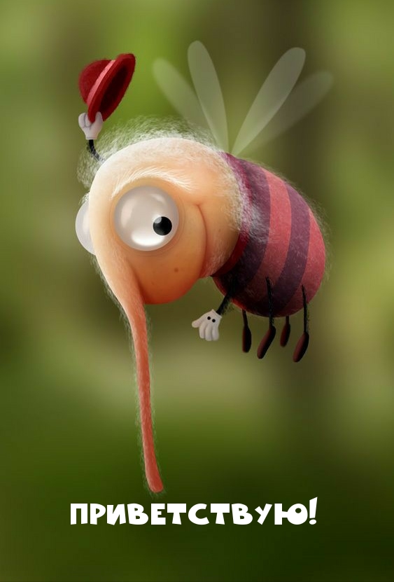 Тигры привет! Hi