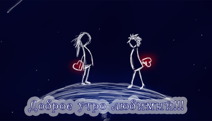 Тигры привет! Hi