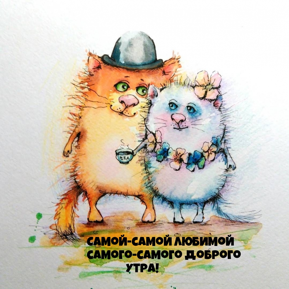 Тигры привет! Hi