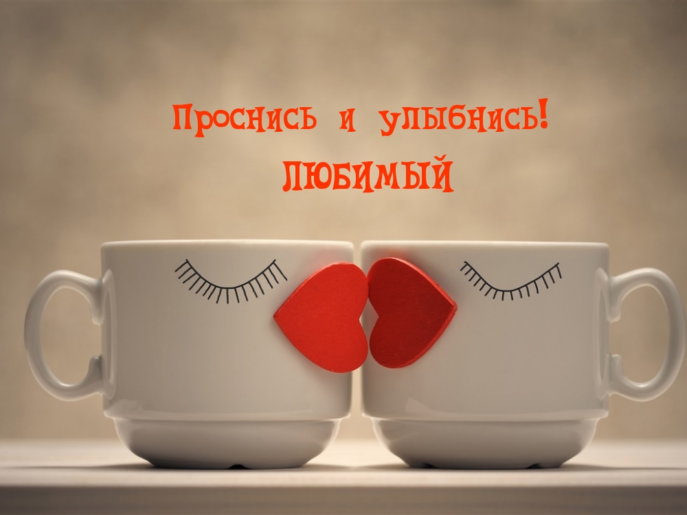 Тигры привет! Hi