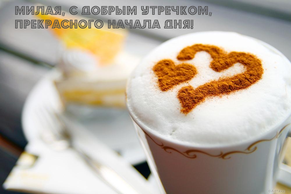 Тигры привет! Hi