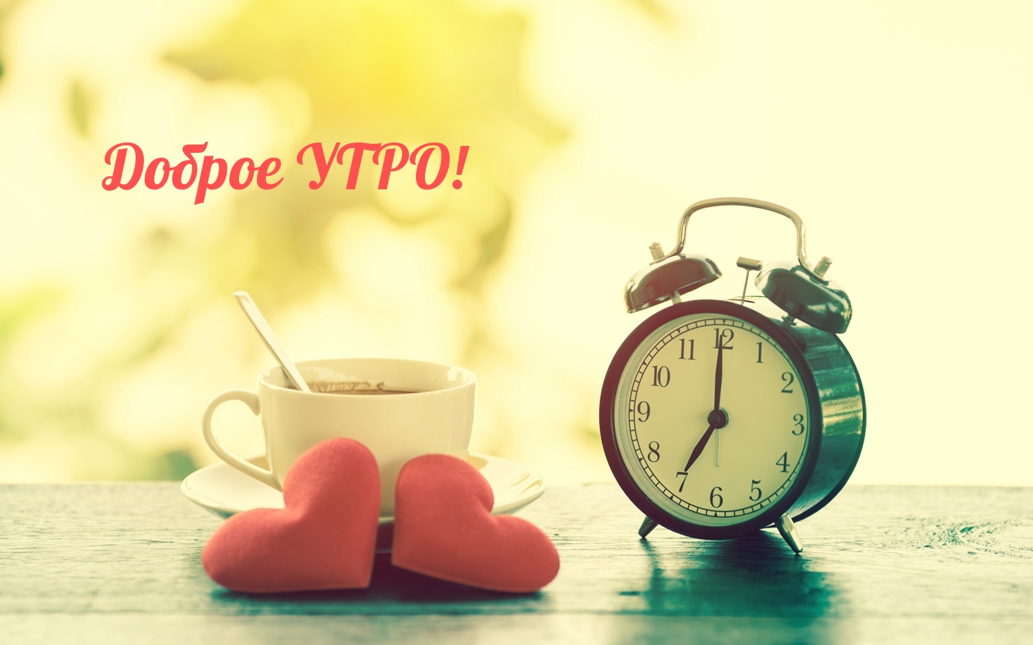 Тигры привет! Hi