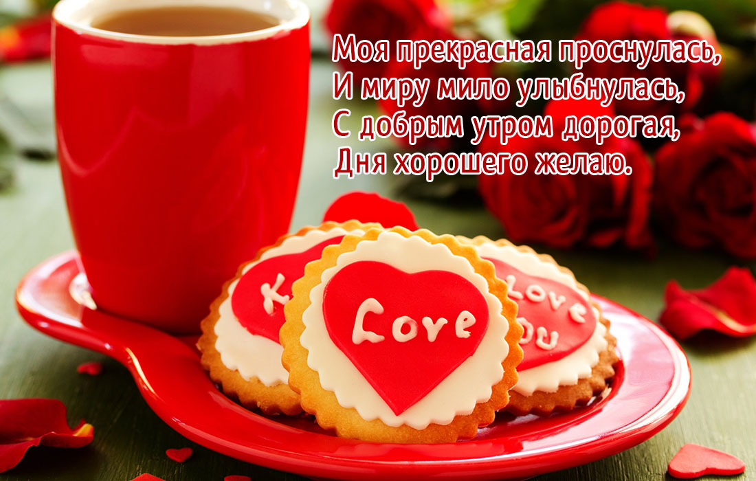 Тигры привет! Hi