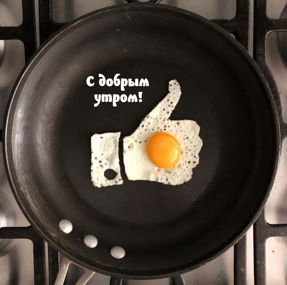 Тигры привет! Hi