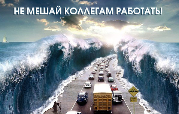 Тигры привет! Hi